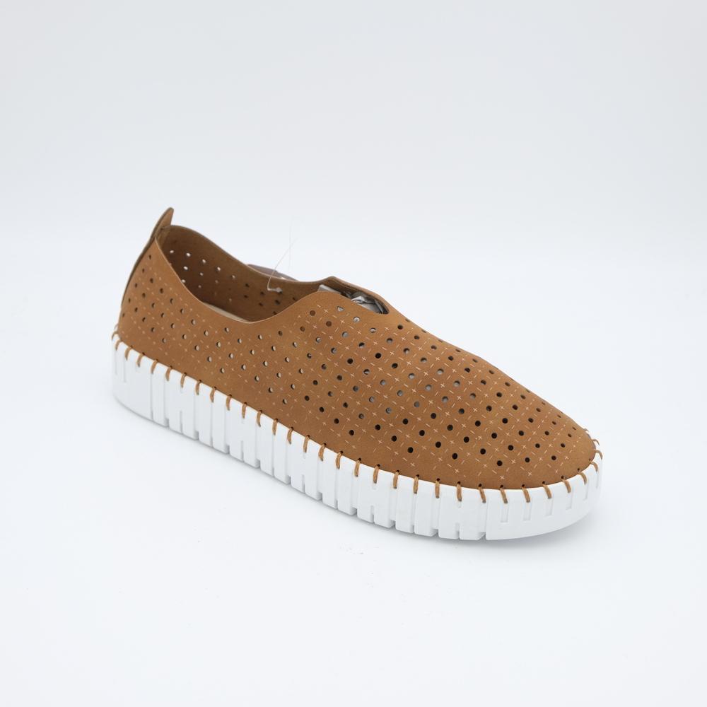 02555_4|d2d1323bb1b2cdf3326f2c31b7af668e